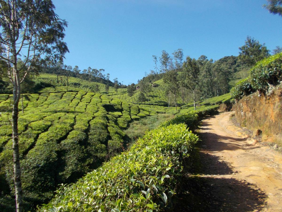 Greenview Holiday Inn Munnar Zewnętrze zdjęcie